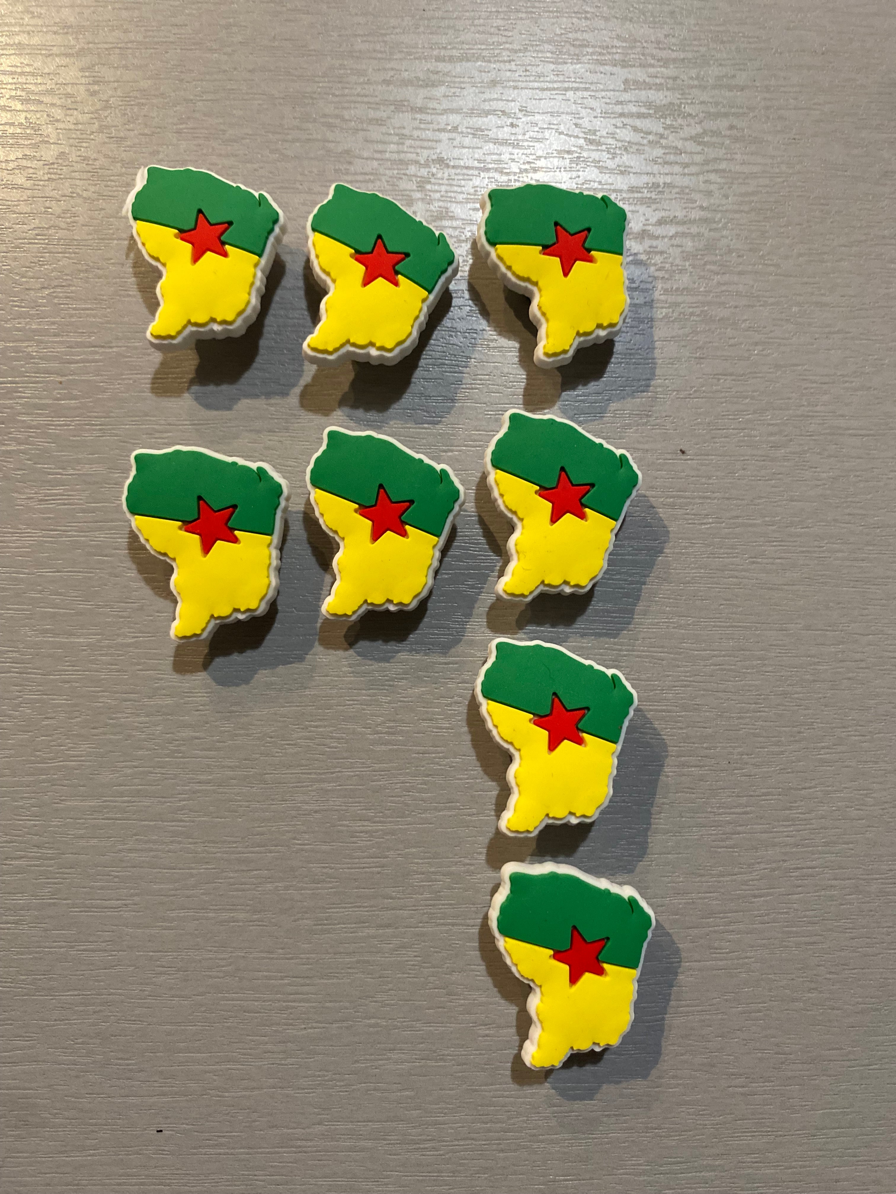 Pin’s GUYANE (la paire)